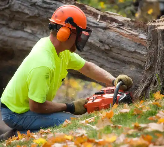 tree services Grantwood Village